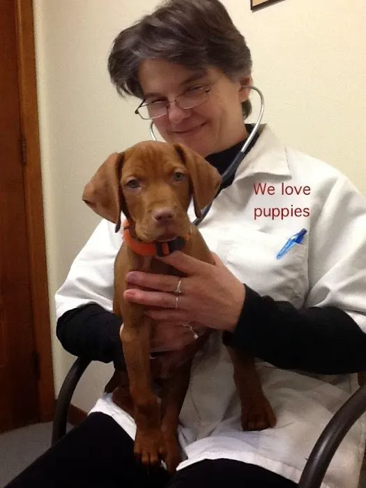 Angelcare Animal Hospital & Pet Resort Inc. 12