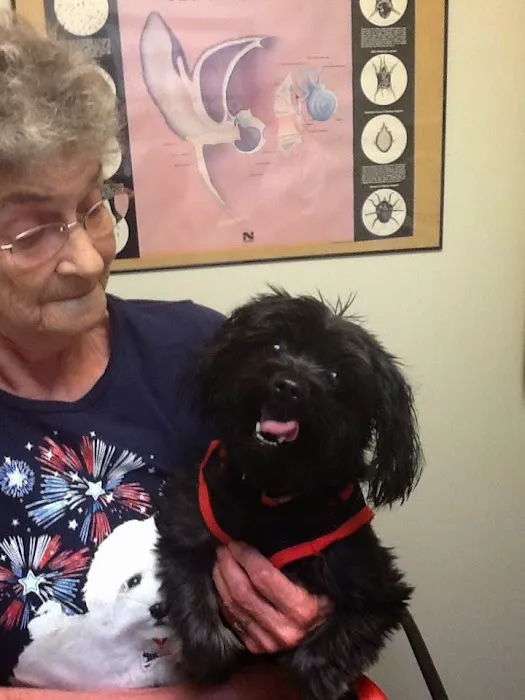 Angelcare Animal Hospital & Pet Resort Inc. 12
