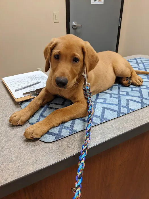 Oak Creek Veterinary Care 12