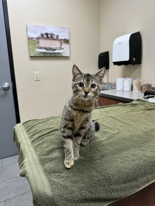 Oak Creek Veterinary Care 12