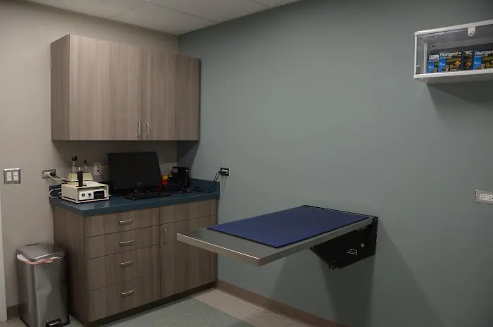 Animal Hospital of Lake Villa 3