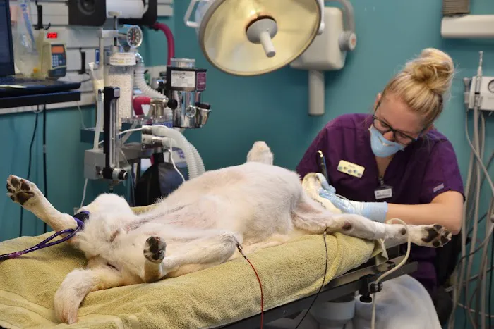 Westosha Veterinary Hospital 12