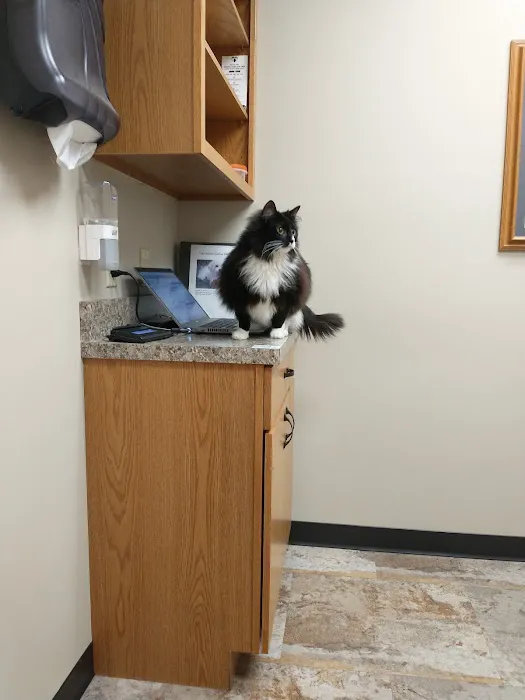 Westosha Veterinary Hospital 12