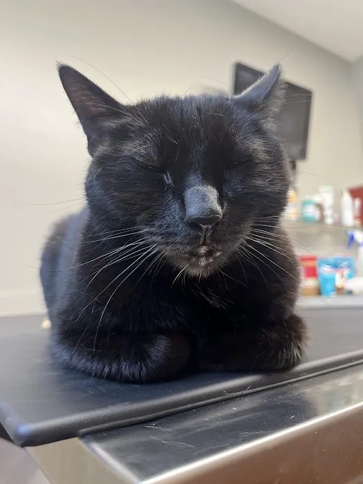 Harbor Animal Hospital 2