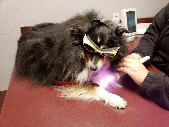 Beechwood Veterinary Clinic 4