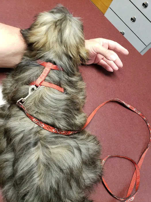 Beechwood Veterinary Clinic 3