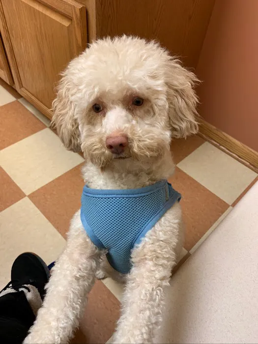 Grand Animal Hospital 9