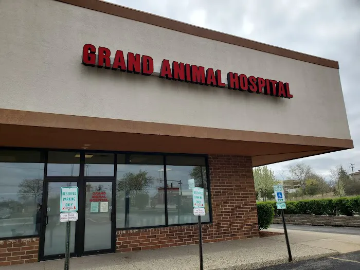 Grand Animal Hospital 6