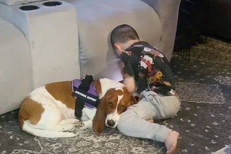 Animal Medical Center of Lake Villa