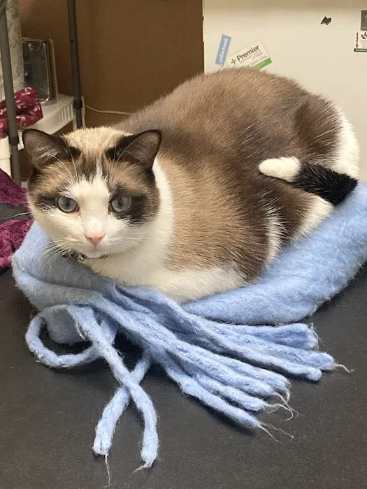 Animal Medical Center of Lake Villa 7