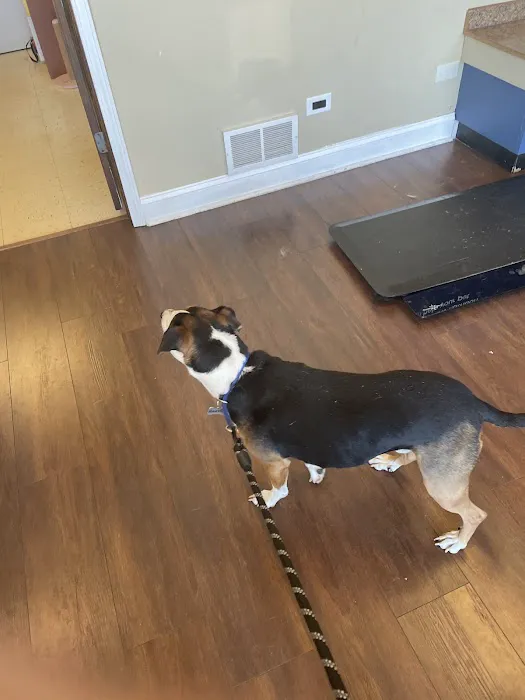 Animal Medical Center of Lake Villa 8