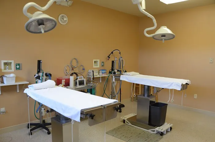 Animal Hospital of Union Grove 5