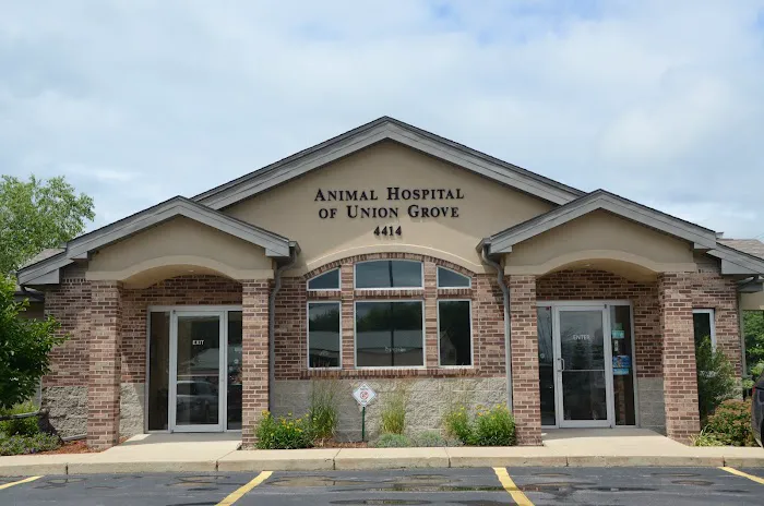 Animal Hospital of Union Grove 3