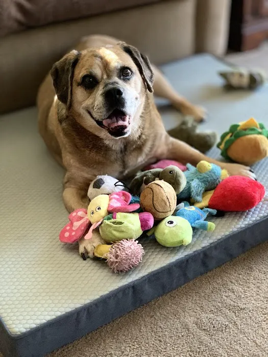 Antioch Animal Hospital 4