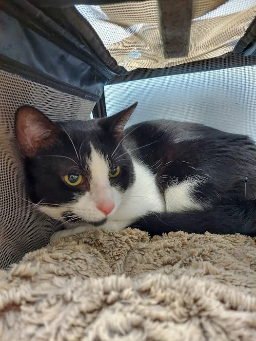 Antioch Animal Hospital 2