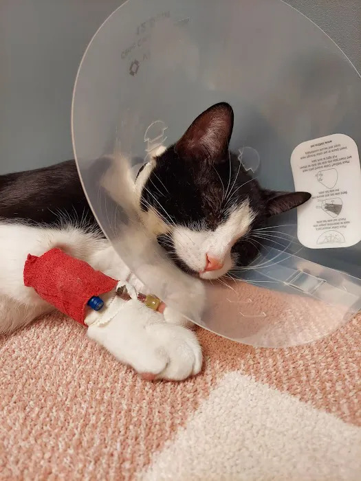 Antioch Animal Hospital 8