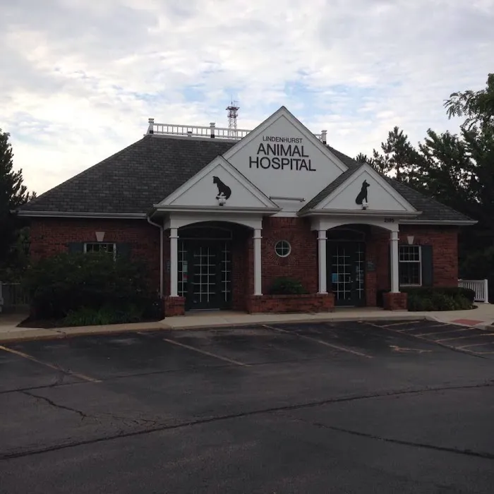 Lindenhurst Animal Hospital 7