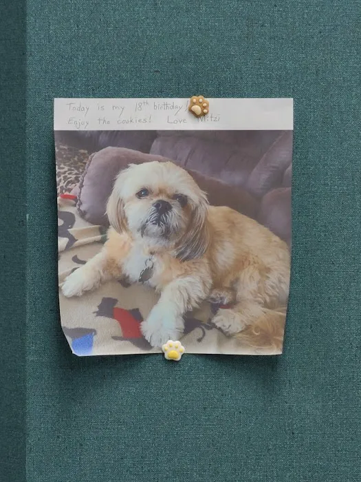 Lindenhurst Animal Hospital 6