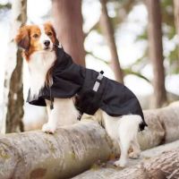 The Animal Hospital Of Gurnee, P.C. ico