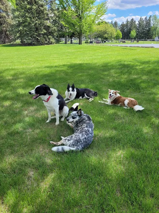 The Animal Hospital Of Gurnee, P.C. 12
