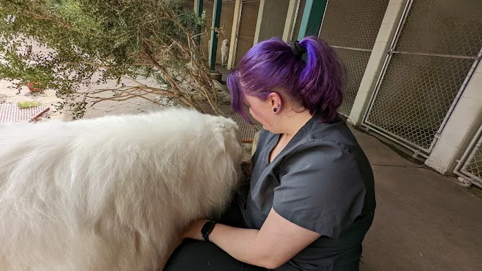The Animal Hospital Of Gurnee, P.C. 12