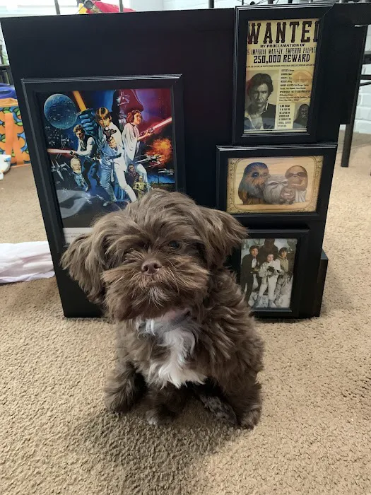 Waukegan Pet Clinic 7