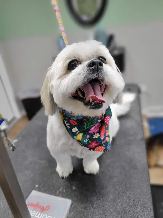 Banfield Pet Hospital 12