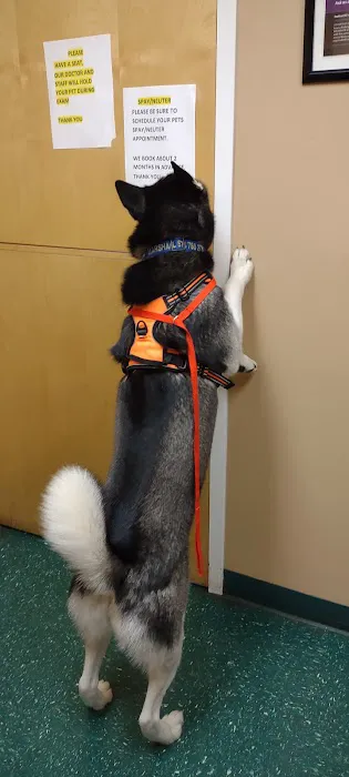 Meyer Veterinary Hospital 5