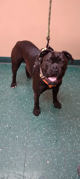 Meyer Veterinary Hospital 1