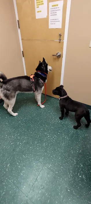 Meyer Veterinary Hospital 4