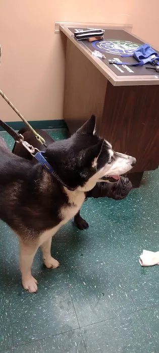 Meyer Veterinary Hospital 6