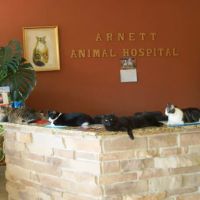 Arnett Animal Hospital ico
