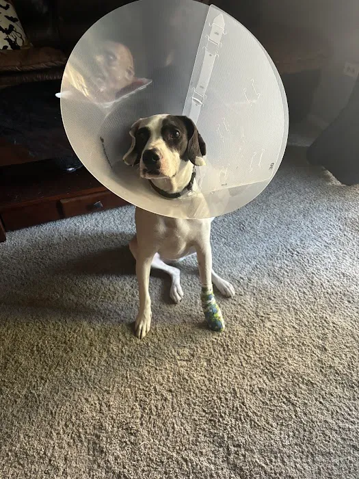 Rand Road Animal Hospital 4