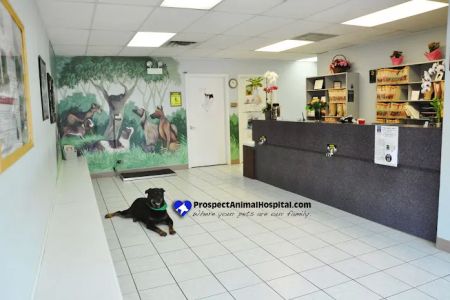 Prospect Animal Hospital