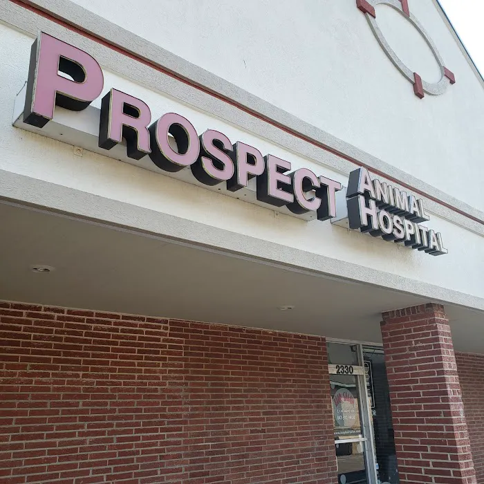 Prospect Animal Hospital 8