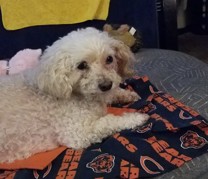 Banfield Pet Hospital 12
