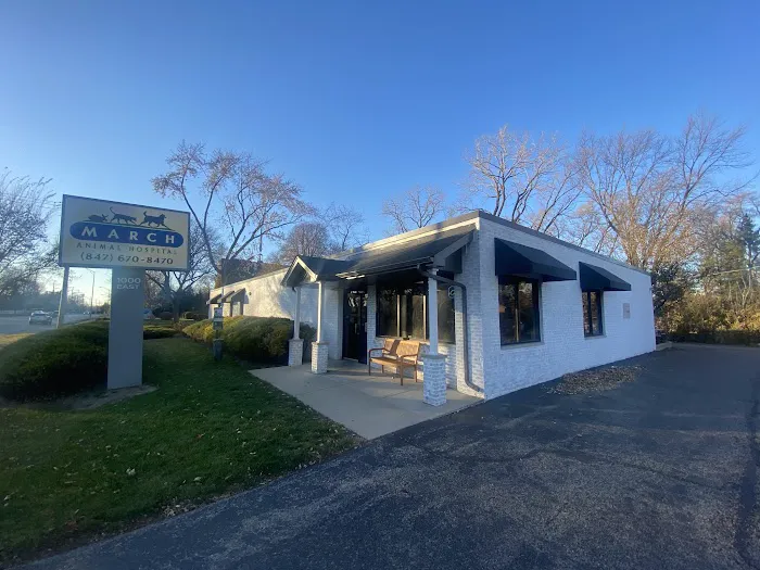 March Animal Hospital 2