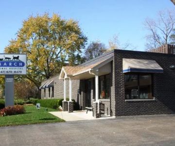 March Animal Hospital