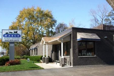 March Animal Hospital