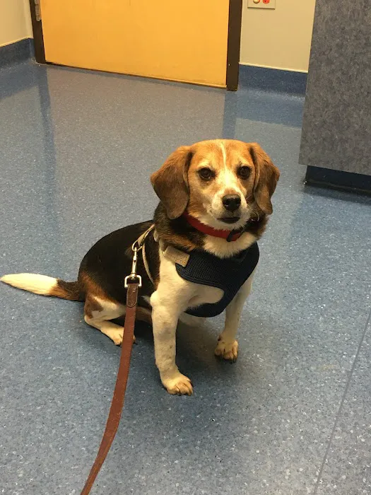 March Animal Hospital 4