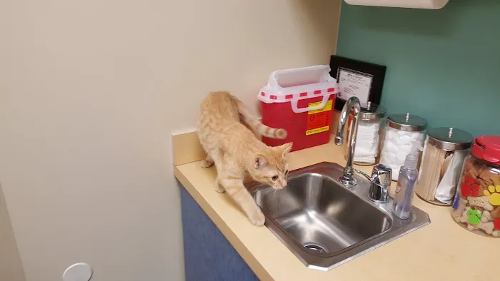 March Animal Hospital 3