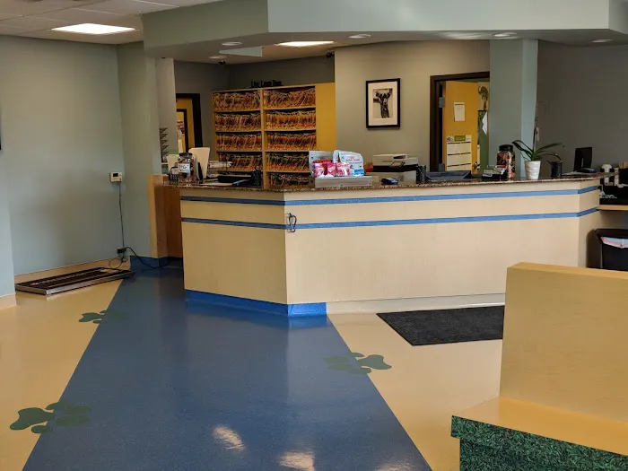 March Animal Hospital 7