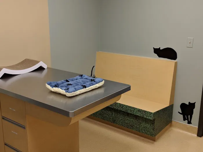 March Animal Hospital 6