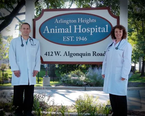 Arlington Heights Animal Hospital 12