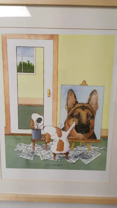 Spring Valley Veterinary Clinic 6