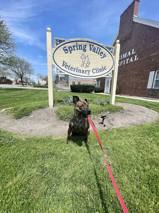 Spring Valley Veterinary Clinic 8