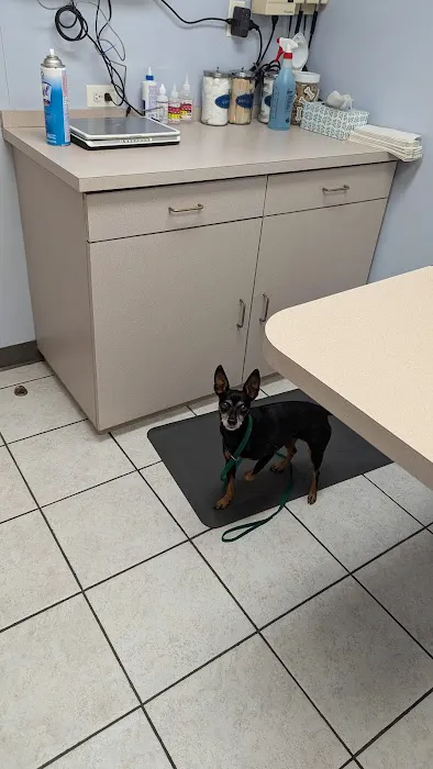 Palatine Animal Hospital 1