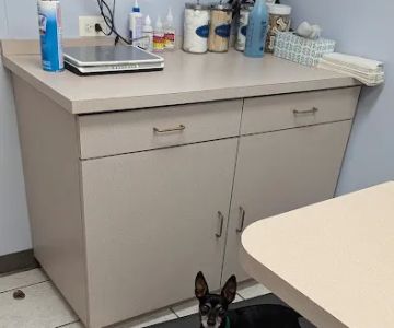 Palatine Animal Hospital