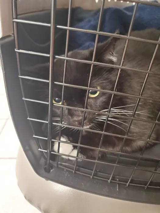 Palatine Animal Hospital 6