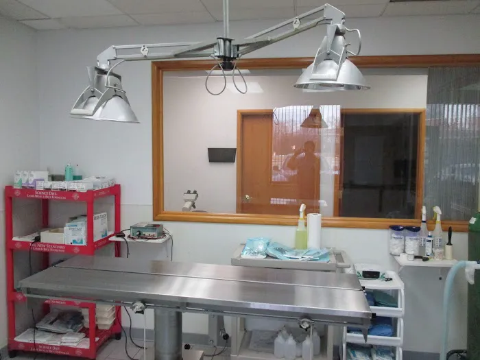 Aberdeen Animal Hospital 12